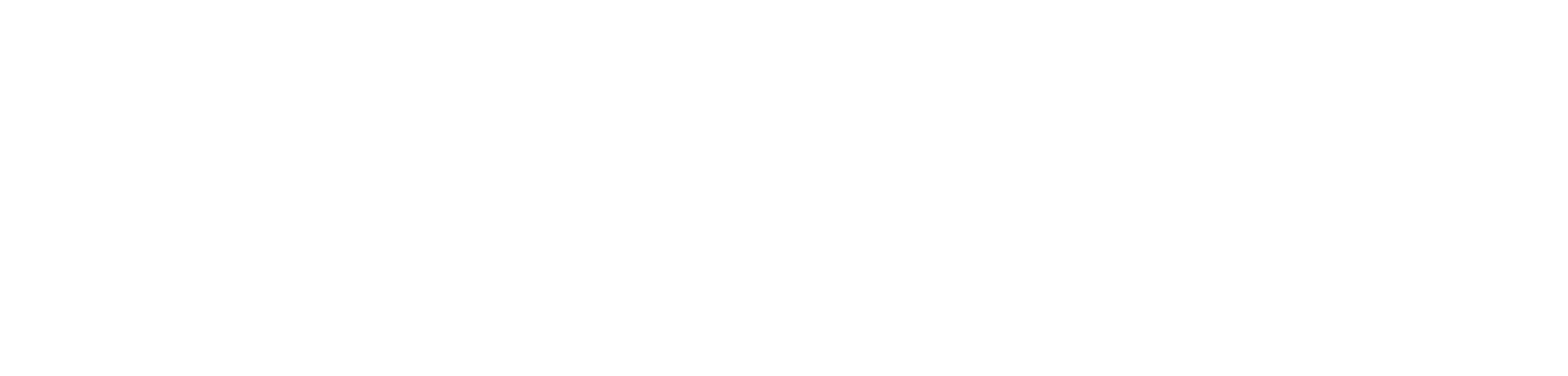 rosaelvia.com
